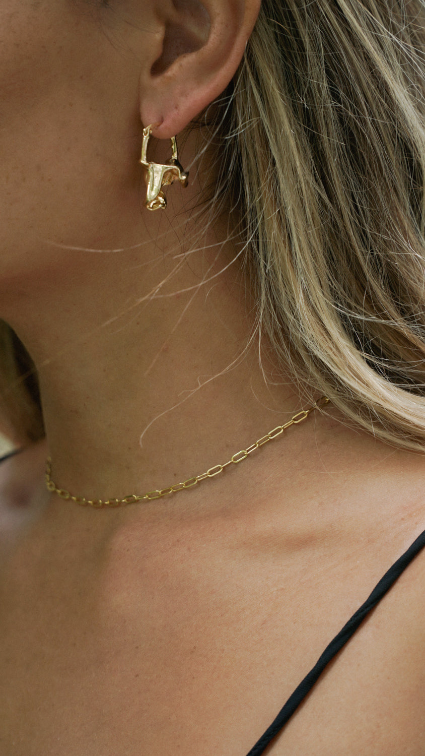 Save the Earth Earrings