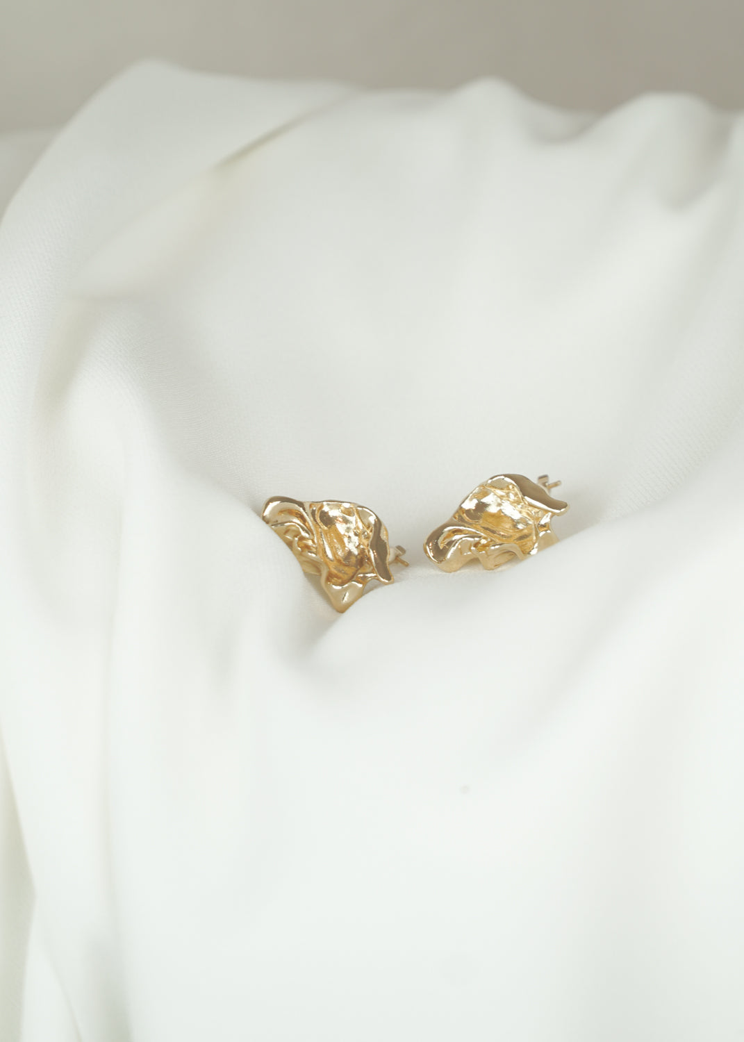Save the Earth Earrings