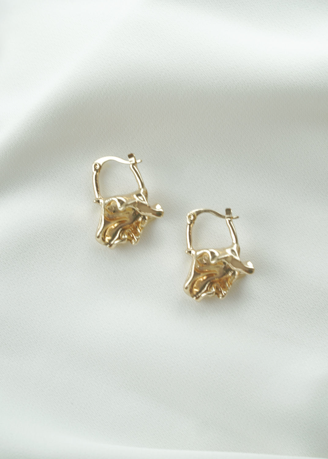 Save the Earth Earrings